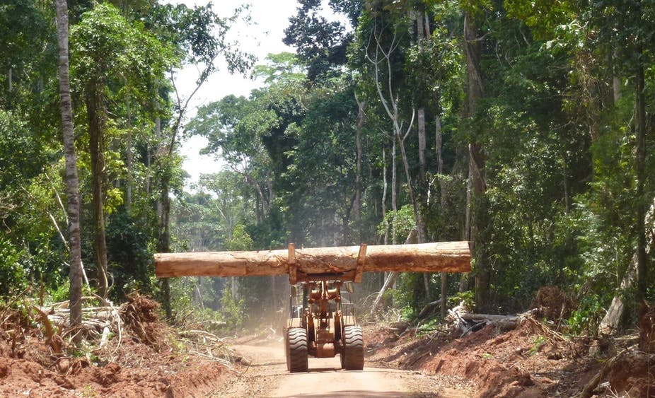 timber in africa congo, uganda natural resources